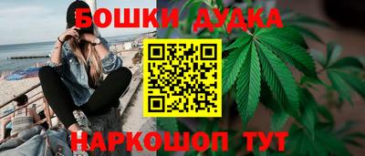 эйфоретик Новокубанск
