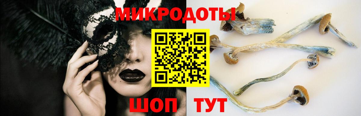 Владимир  Галлюциногенные грибы Cubensis  Вход с VPN 
